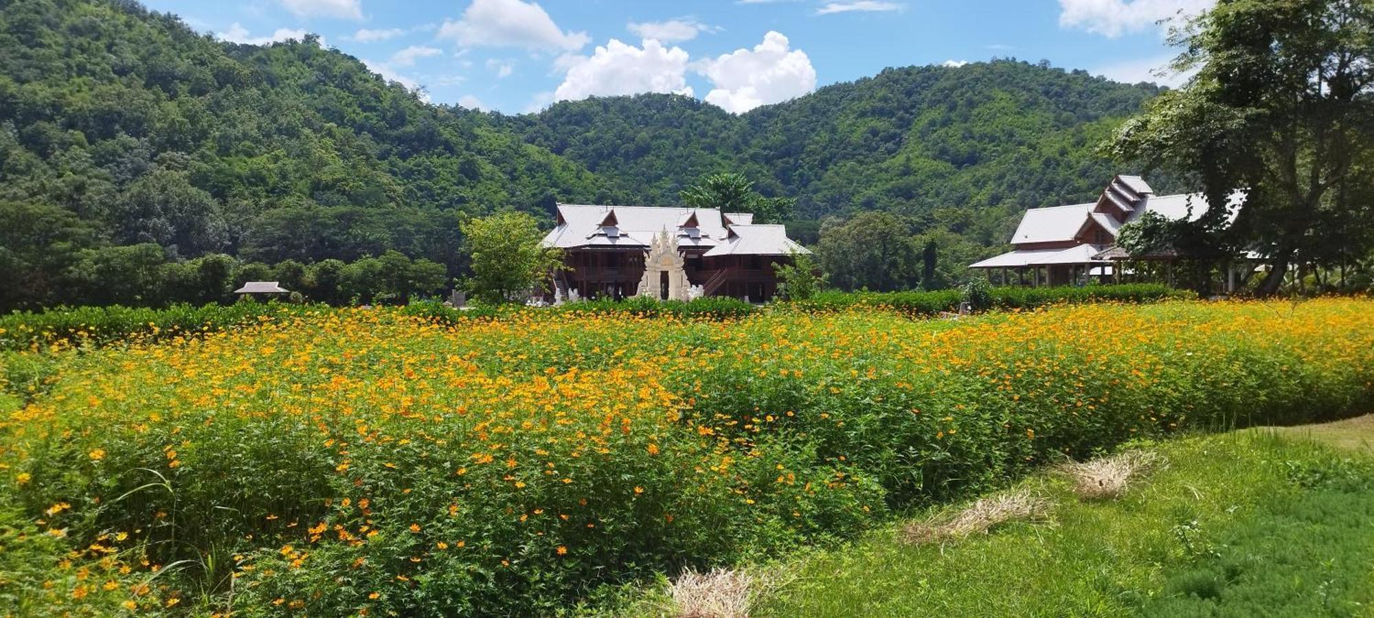 La Villa De Madame Su Chiang Mai Luaran gambar